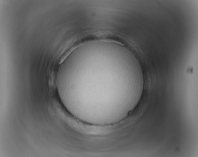 X0000113110044200909111125