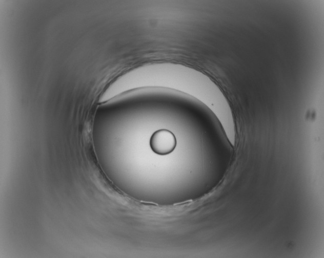 X0000113110045200909111125