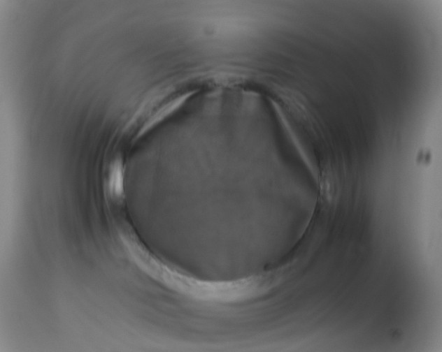 X0000113110046200909111125