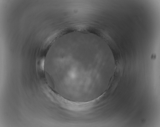 X0000113110047200909111125