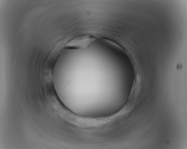 X0000113110048200909111125