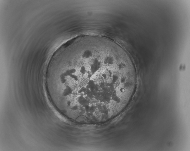 X0000113110049200909111124