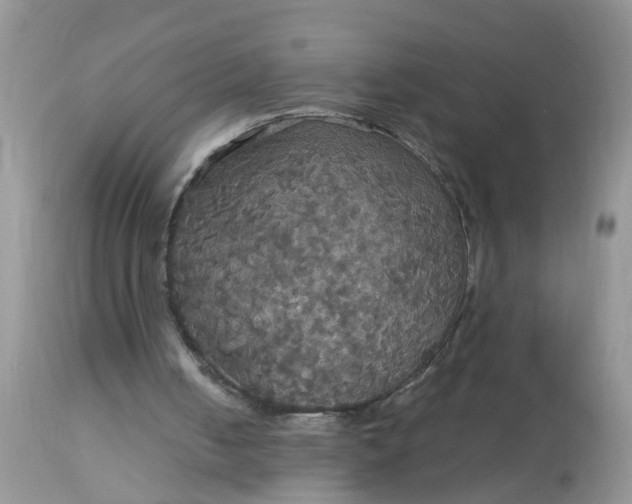 X0000113110050200909111124
