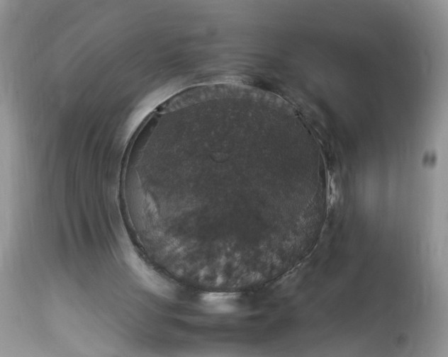 X0000113110051200909111124
