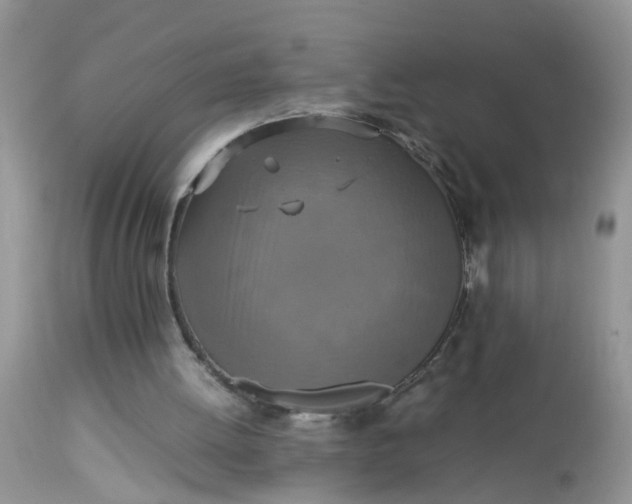 X0000113110052200909111124