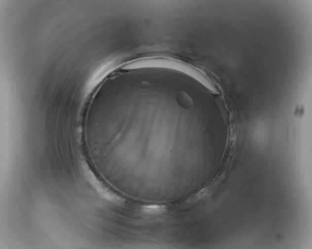 X0000113110053200909111124