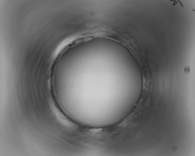X0000113110054200909111124