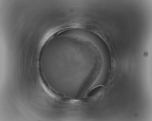 X0000113110055200909111124