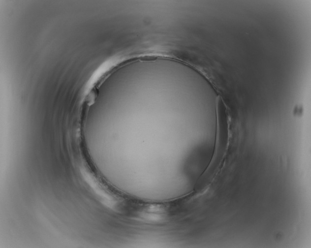 X0000113110056200909111124