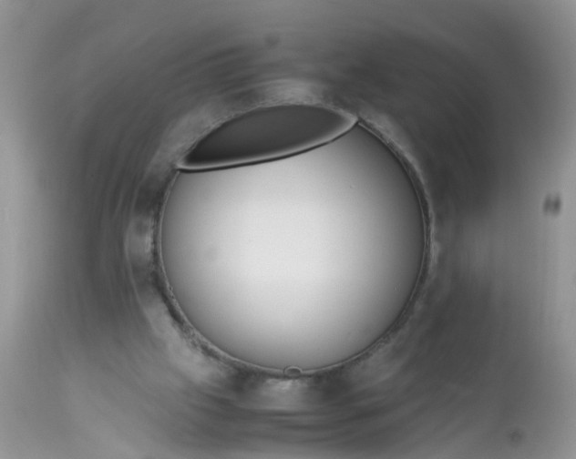 X0000113110057200909111124