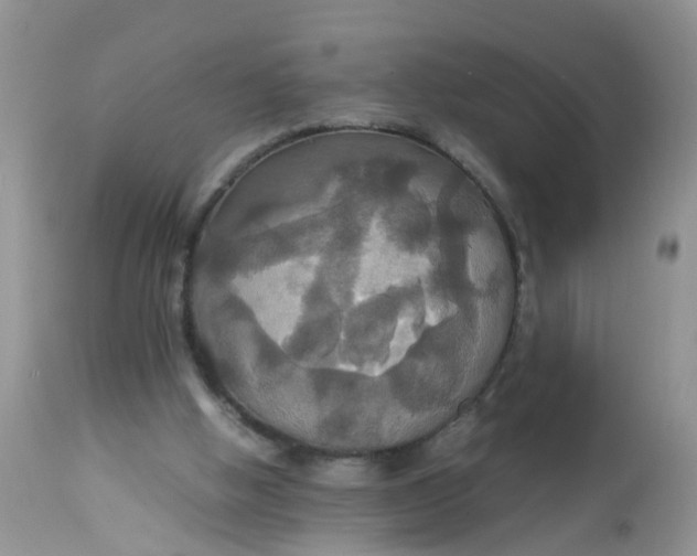 X0000113110058200909111124