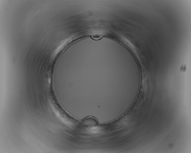 X0000113110059200909111124