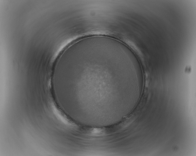 X0000113110060200909111124