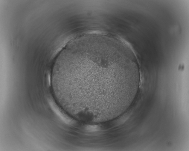 X0000113110061200909111124