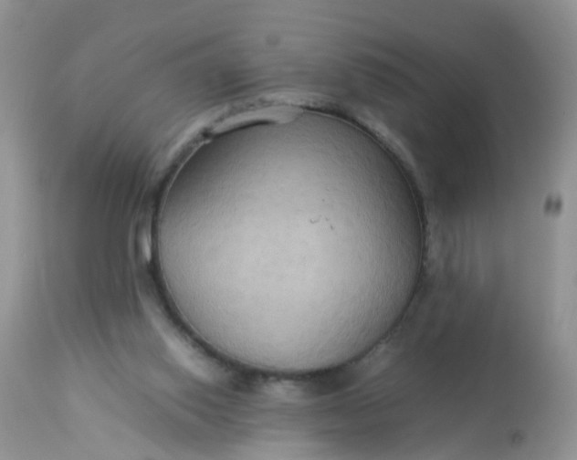 X0000113110062200909111124