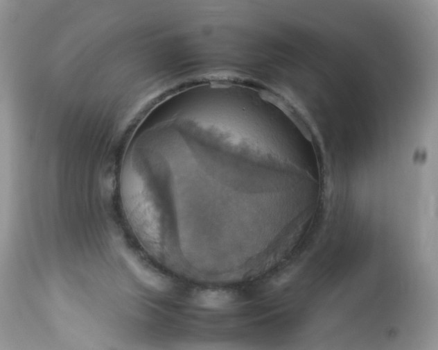 X0000113110063200909111124