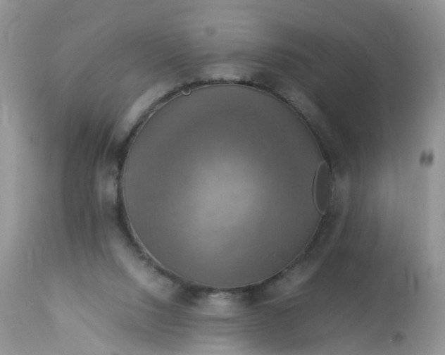 X0000113110064200909111124
