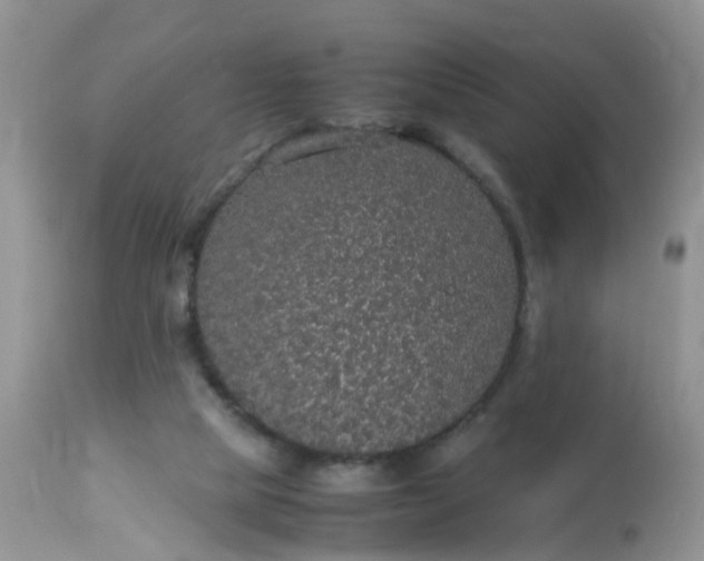 X0000113110065200909111124