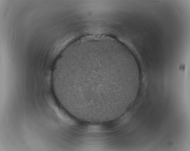 X0000113110066200909111124