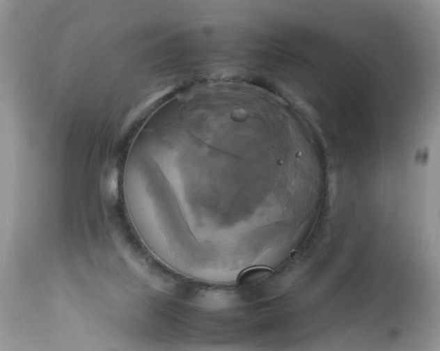 X0000113110067200909111125