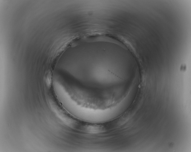 X0000113110069200909111125