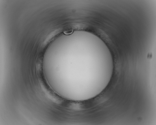 X0000113110071200909111125