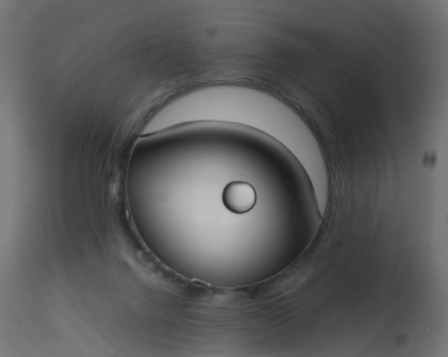 X0000113110072200909111125