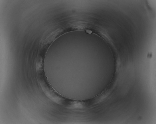 X0000113110073200909111125