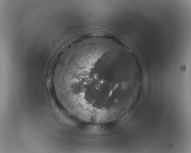X0000113110074200909111125
