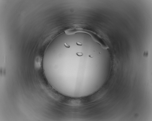 X0000113110075200909111125