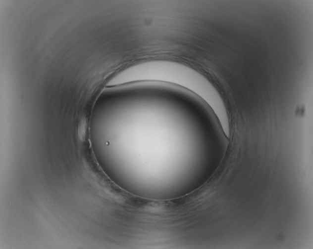 X0000113110076200909111125