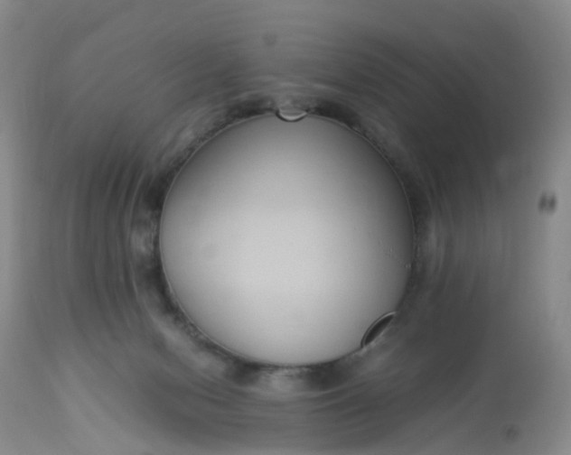 X0000113110078200909111125
