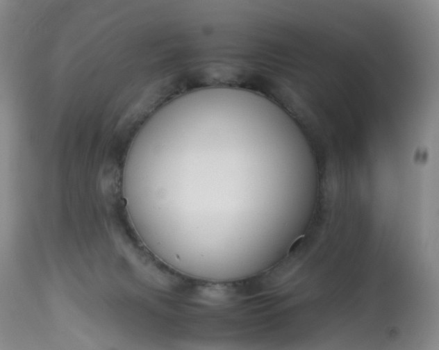 X0000113110079200909111125