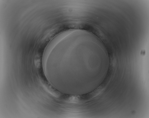 X0000113110080200909111125