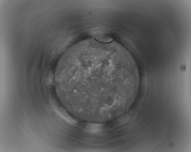 X0000113110081200909111125