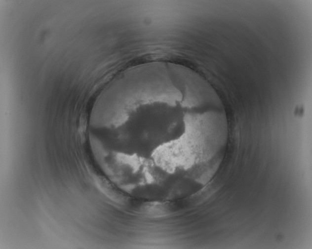 X0000113110082200909111125