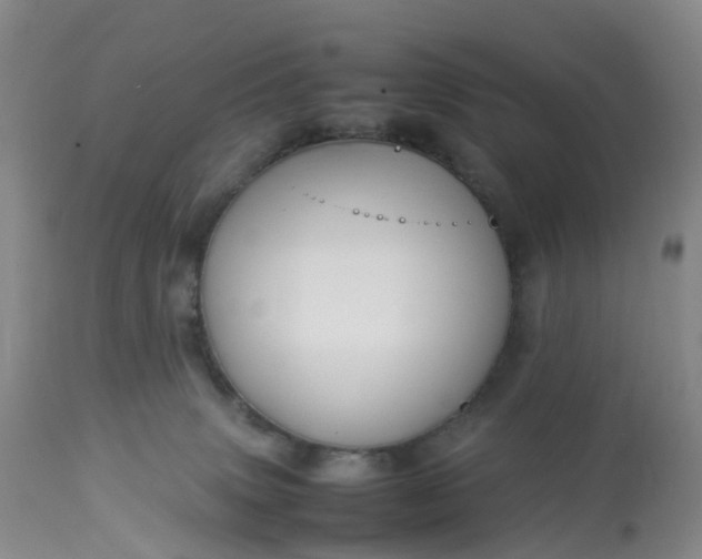 X0000113110083200909111125