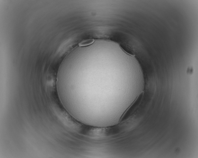 X0000113110084200909111125