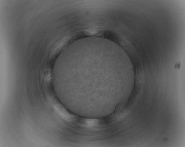 X0000113110085200909111125