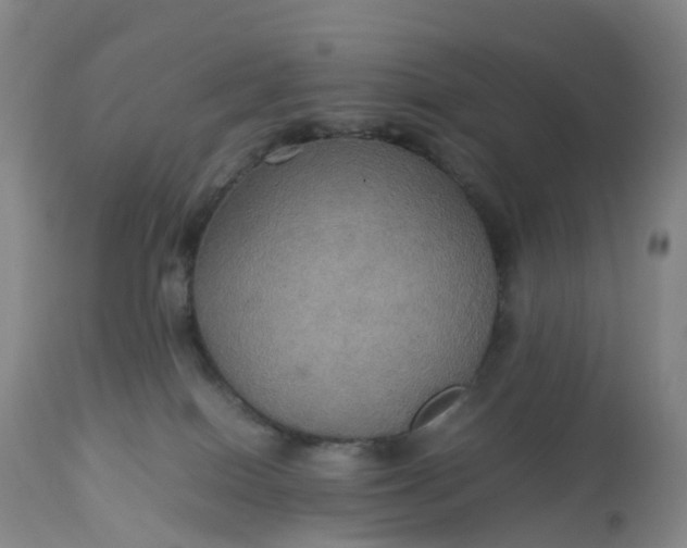 X0000113110086200909111125
