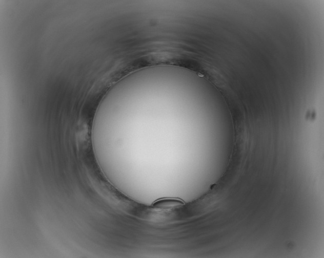 X0000113110087200909111125