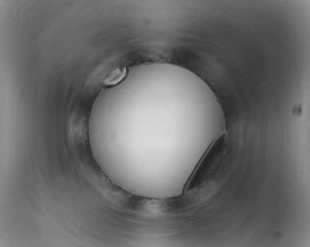 X0000113110088200909111125