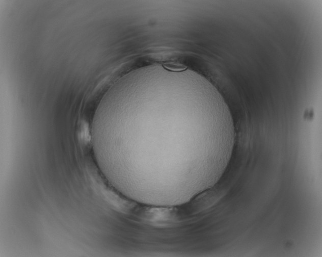 X0000113110089200909111125