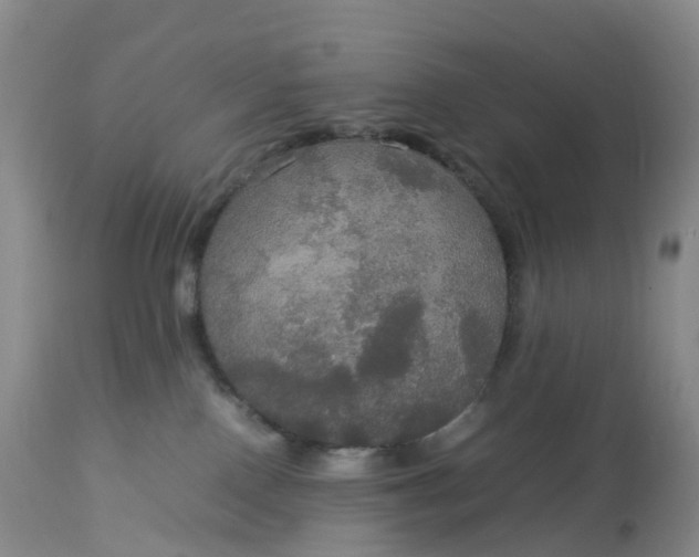 X0000113110090200909111125