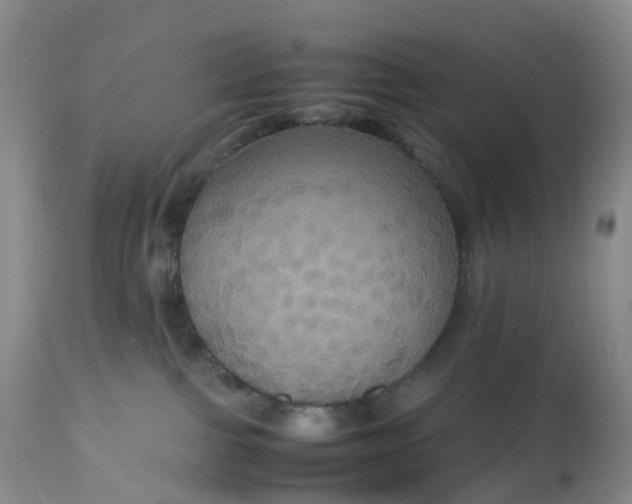 X0000113110091200909111125