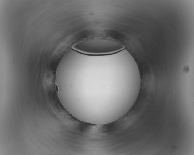 X0000113110092200909111125