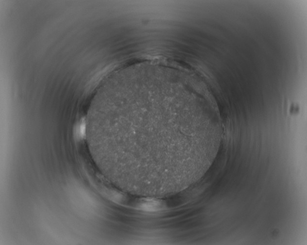 X0000113110095200909111125