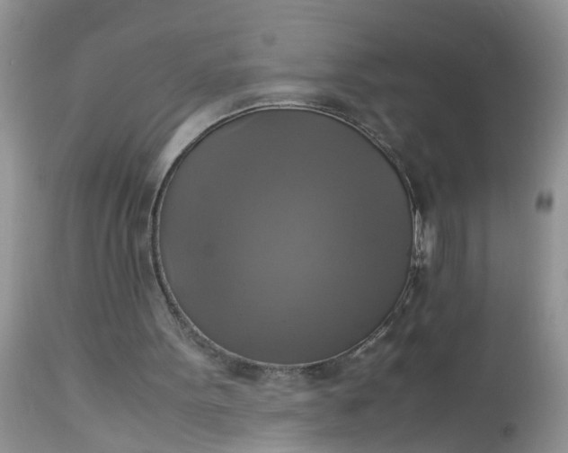 X0000113110099200909111124