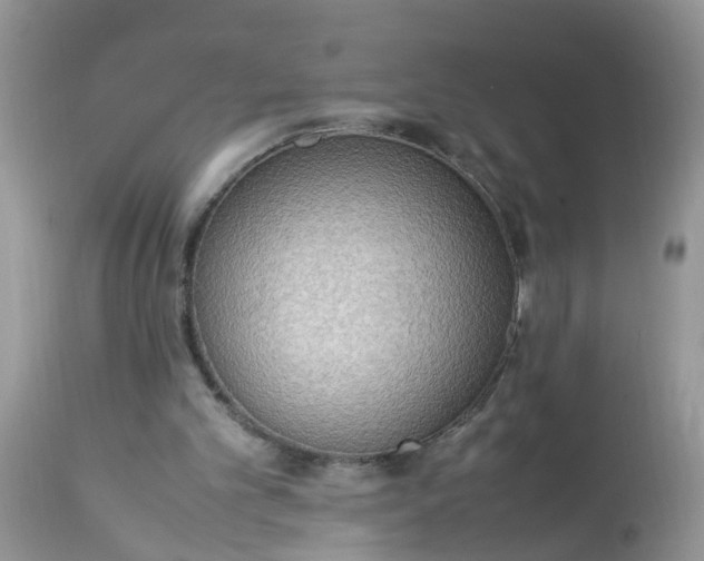 X0000113110101200909111124