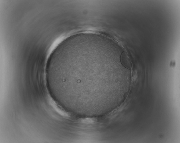 X0000113110102200909111124